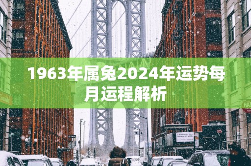 1963年属兔2025年运势每月运程解析