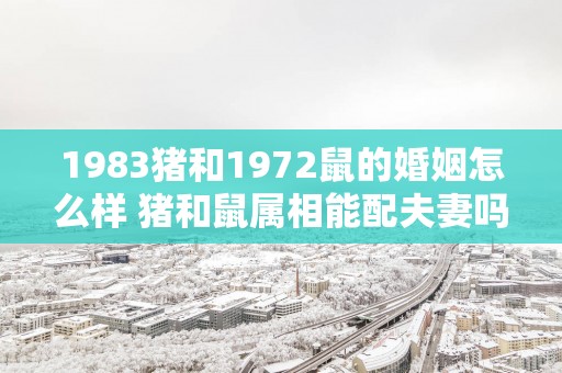 1983猪和1972鼠的婚姻怎么样 猪和鼠属相能配夫妻吗