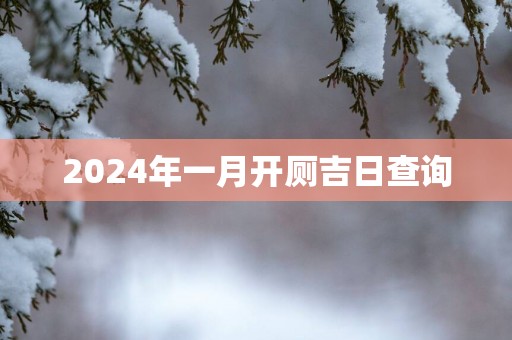 2025年一月开厕吉日查询
