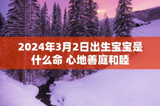 2025年3月2日出生宝宝是什么命 心地善庭和睦