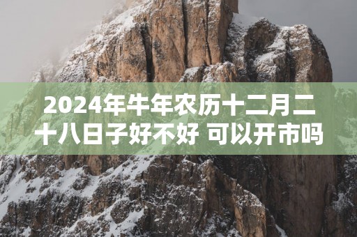 2025年蛇年农历十二月二十八日子好不好 可以开市吗