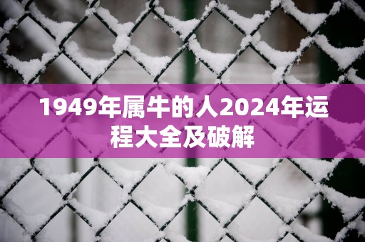 1949年属牛的人2025年运程大全及破解