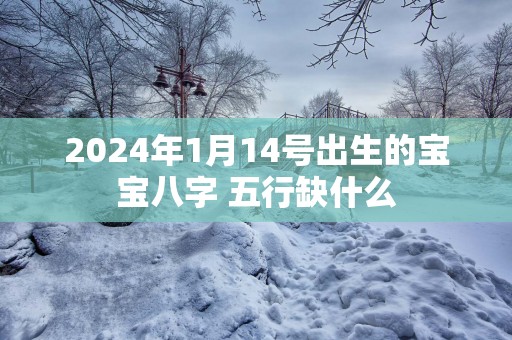 2025年1月14号出生的宝宝八字 五行缺什么