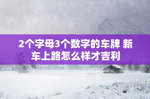 2个字母3个数字的车牌 新车上路怎么样才吉利