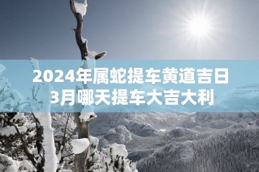 2025年属蛇提车黄道吉日 3月哪天提车大吉大利