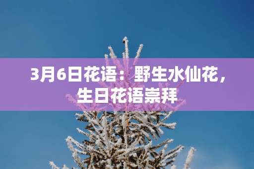 3月6日花语:野生水仙花,生日花语崇拜 3月6日花语:野生水仙花,生日花语崇拜