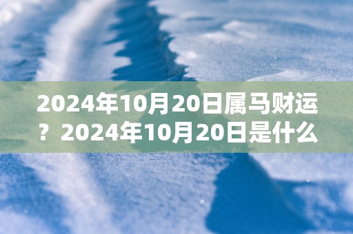 2025年10月20日属马财运？2025年10月20日是什么命