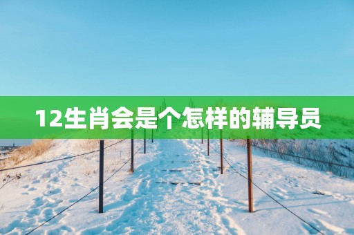 12生肖会是个怎样的辅导员