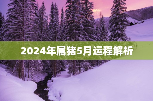 2025年属猪5月运程解析