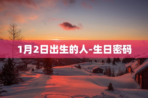 1月2日出生的人-生日密码
