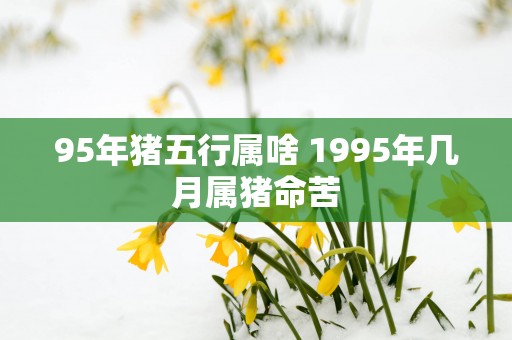 95年猪五行属啥 1995年几月属猪命苦