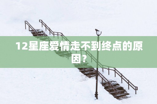12星座爱情走不到终点的原因？