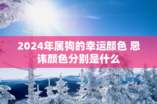 2025年属狗的幸运颜色 忌讳颜色分别是什么