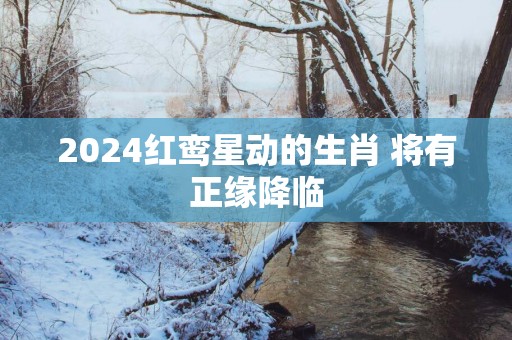 2025红鸾星动的生肖 将有正缘降临