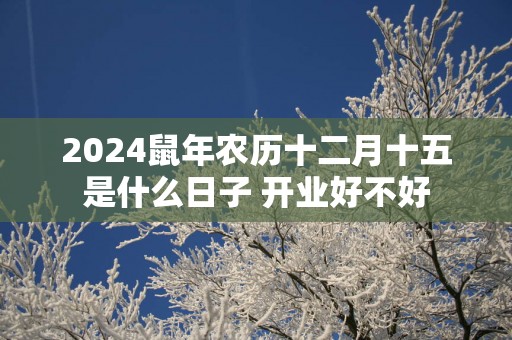 2025蛇年农历十二月十五是什么日子 开业好不好