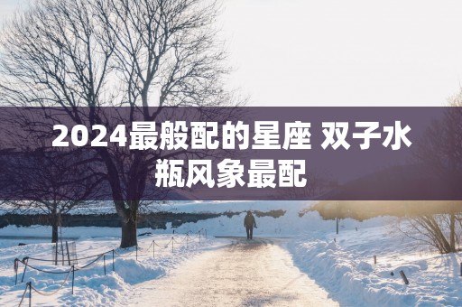 2025最般配的星座 双子水瓶风象最配