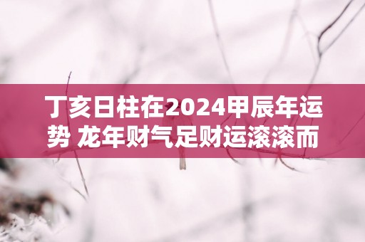 丁亥日柱在2025甲辰年运势 蛇年财气足财运滚滚而来