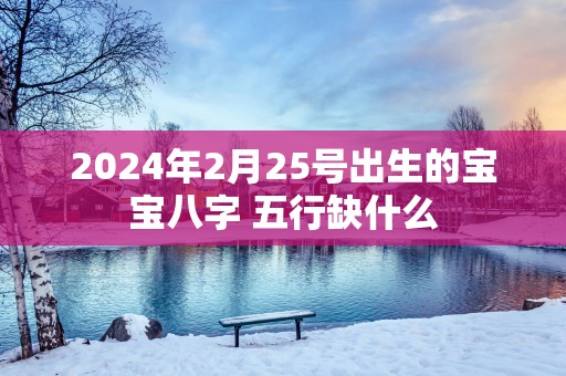2025年2月25号出生的宝宝八字 五行缺什么