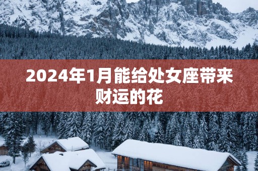 2025年1月能给处女座带来财运的花