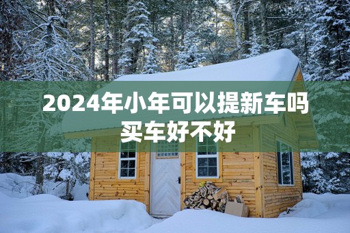 2025年小年可以提新车吗 买车好不好