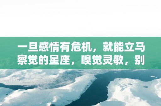 一旦感情有危机，就能立马察觉的星座，嗅觉灵敏，别跟他们