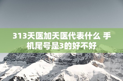 313天医加天医代表什么 手机尾号是3的好不好
