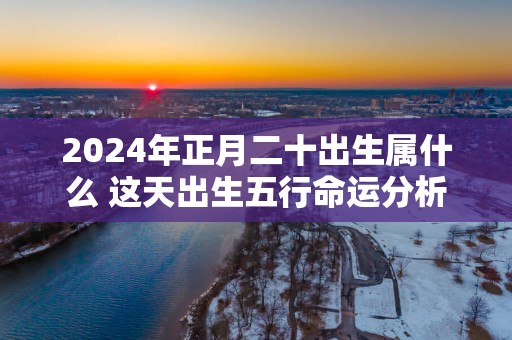 2025年正月二十出生属什么 这天出生五行命运分析