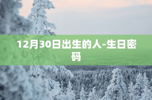12月30日出生的人-生日密码