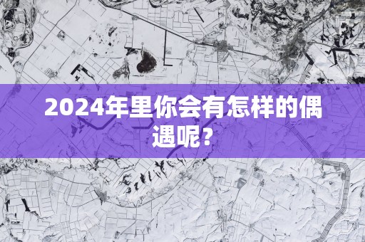 2025年里你会有怎样的偶遇呢？