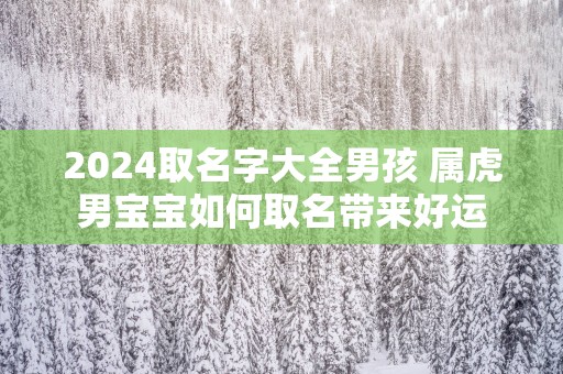 2025取名字大全男孩 属虎男宝宝如何取名带来好运