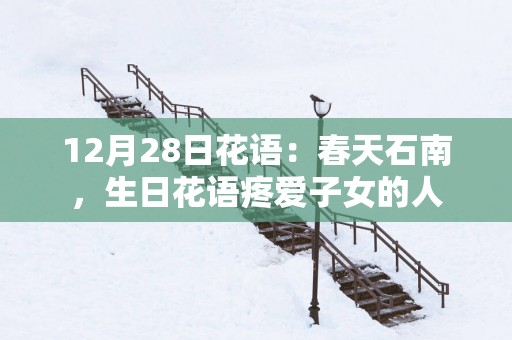12月28日花语：春天石南，生日花语疼爱子女的人