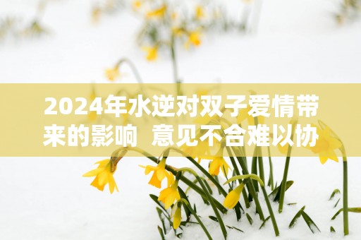 2025年水逆对双子爱情带来的影响  意见不合难以协调