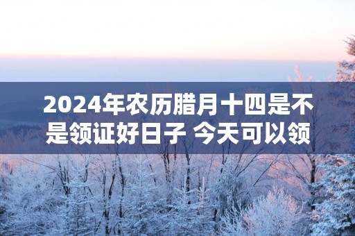2025年农历腊月十四是不是领证好日子 今天可以领结婚证吗