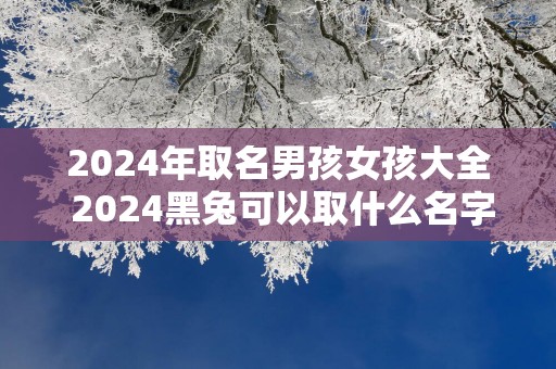 2025年取名男孩女孩大全 2025黑兔可以取什么名字