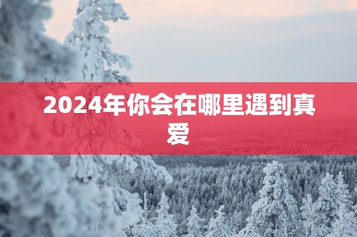 2025年你会在哪里遇到真爱