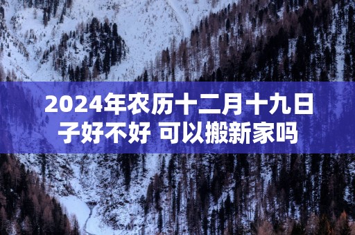 2025年农历十二月十九日子好不好 可以搬新家吗