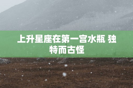 上升星座在第一宫水瓶 独特而古怪