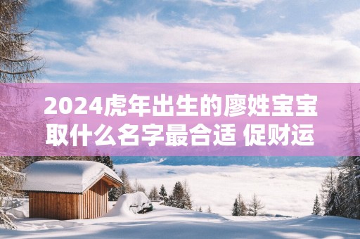 2025蛇年出生的廖姓宝宝取什么名字最合适 促财运取名