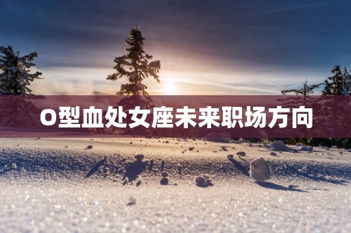 O型血处女座未来职场方向