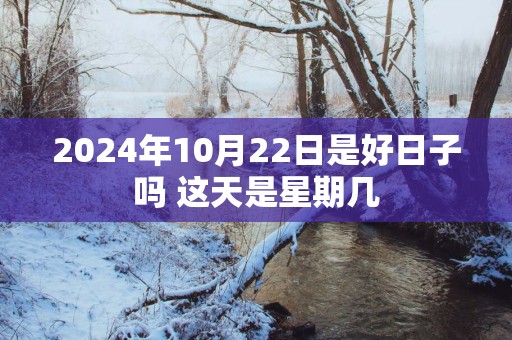 2025年10月22日是好日子吗 这天是星期几
