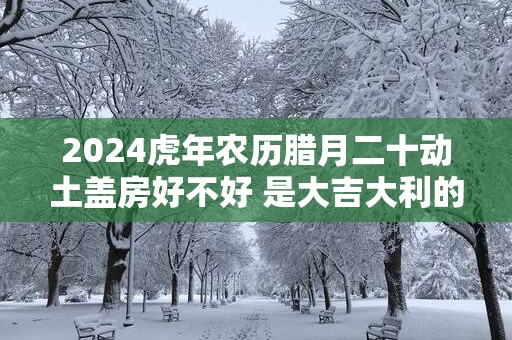 2025蛇年农历腊月二十动土盖房好不好 是大吉大利的日子吗