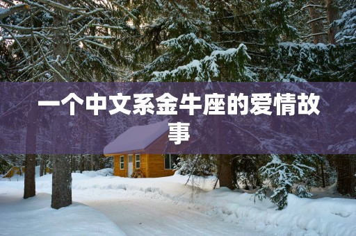 一个中文系金牛座的爱情故事