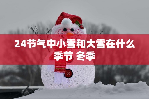 24节气中小雪和大雪在什么季节 冬季
