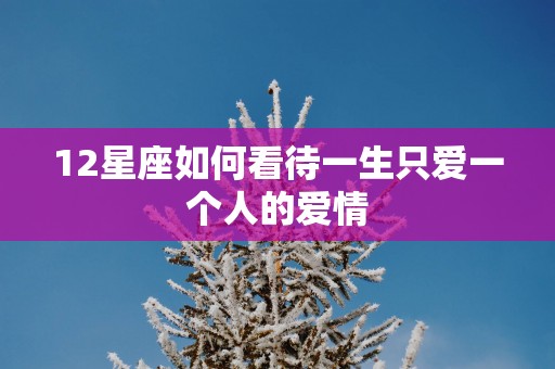 12星座如何看待一生只爱一个人的爱情