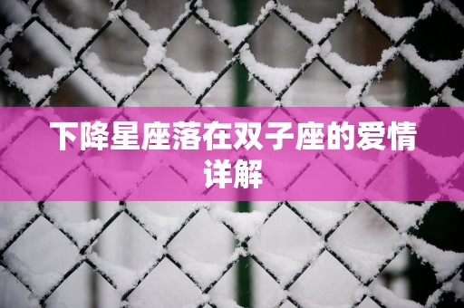 下降星座落在双子座的爱情详解