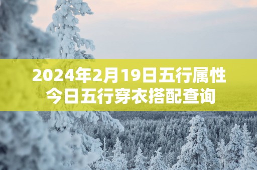 2025年2月19日五行属性 今日五行穿衣搭配查询