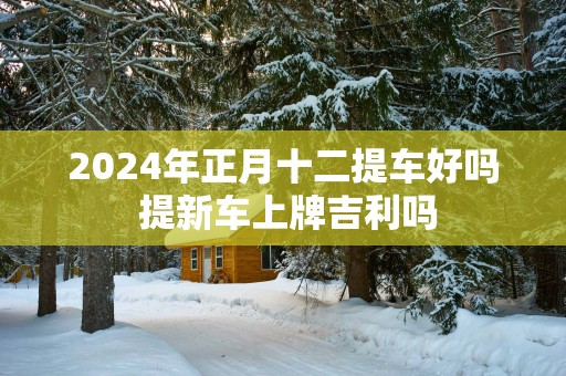 2025年正月十二提车好吗 提新车上牌吉利吗