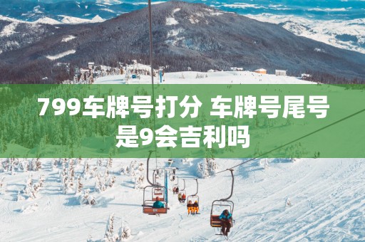 799车牌号打分 车牌号尾号是9会吉利吗