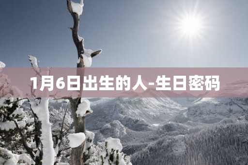1月6日出生的人-生日密码