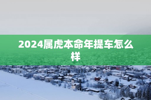 2025属虎本命年提车怎么样